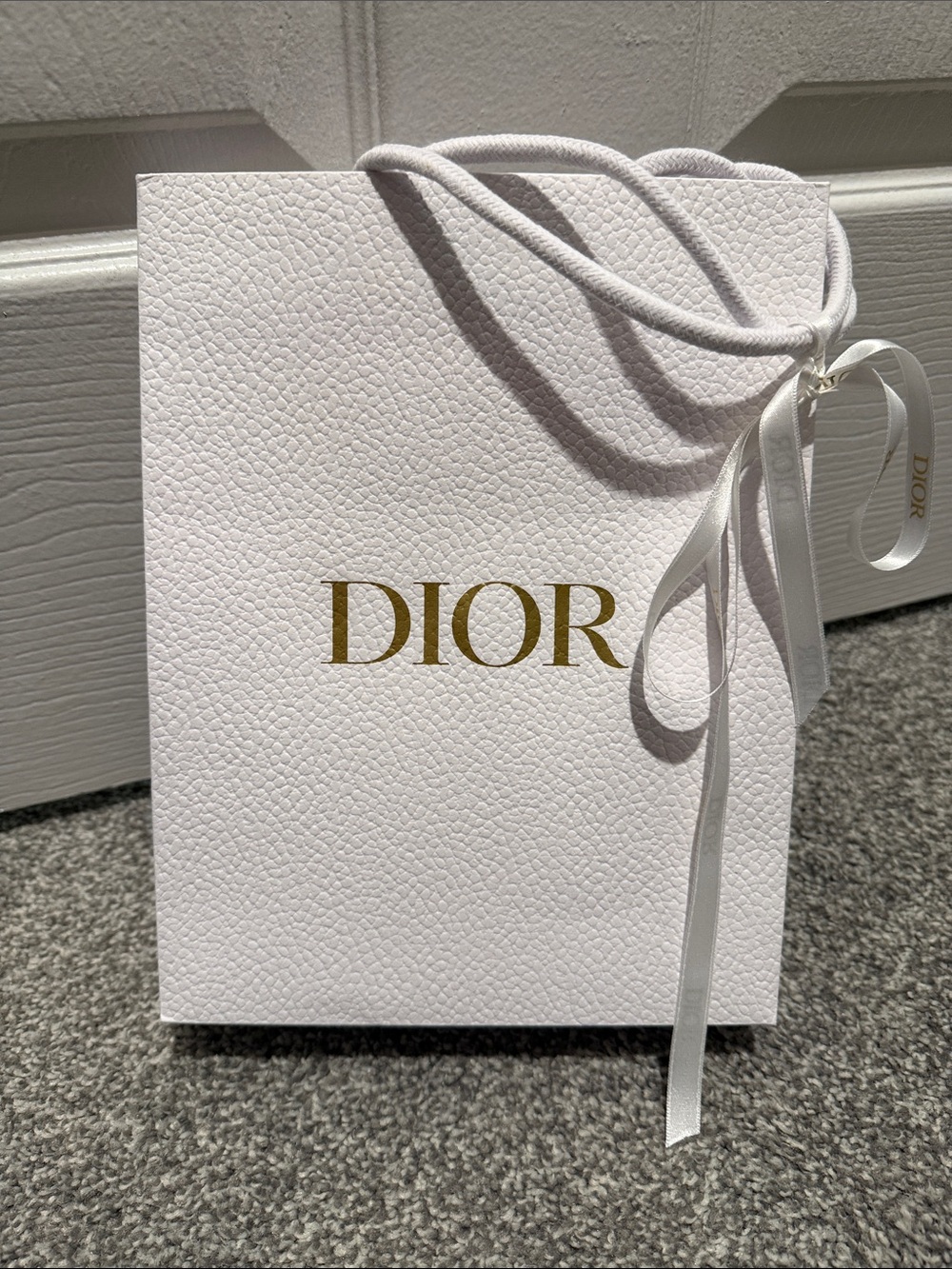 Dior Gift Bag with Dior Ribbon